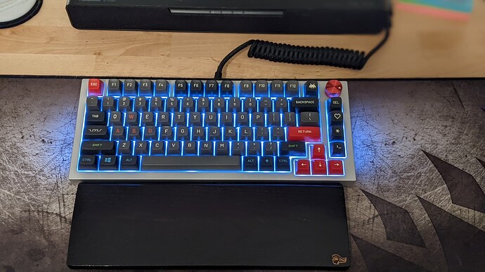 PXL_20210825_033745747.PORTRAIT