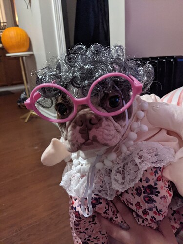 PXL_20211020_213723908