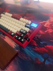 Zoom75 TIGA_2