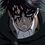 Levi-Ackerman