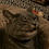 qCats